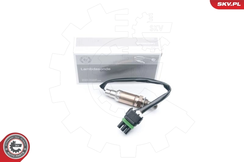 Oxygen Sensor